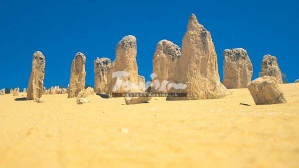 Pinnacles Desert 4WD Adventure English Speaking group tour incl of lunch