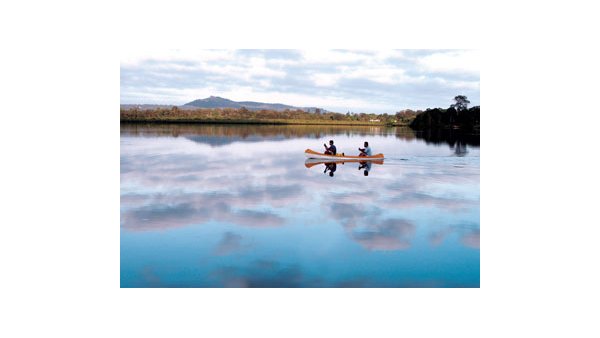 Noosa River Everglade Cruise - from $68.00 per person