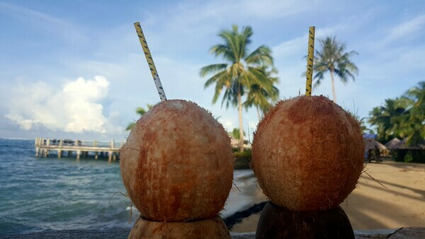 Coconuts Beach Resort - Upolu Island Samoa