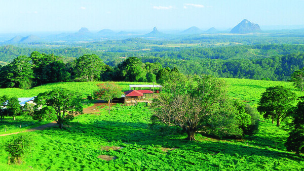 Tour with a English Guide: Natural Treasures of the Gold Coast