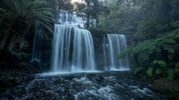 Mount Field National Park