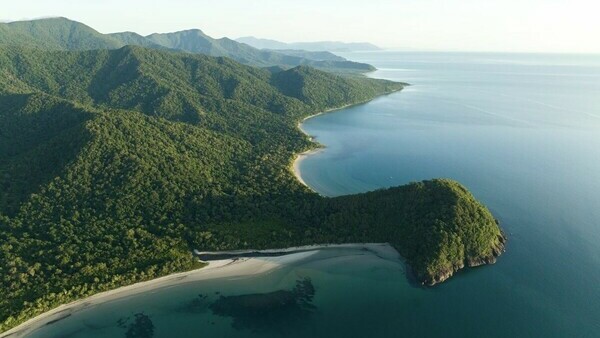 Tour in Cairns:Daintree National Park and Cape Tribulation