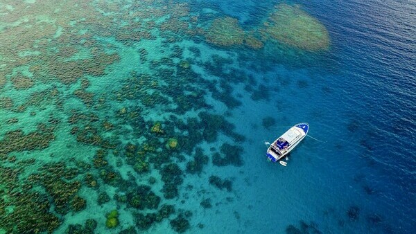 Tour in Cairns to the Great Barrier Reef: Green Island Cruise