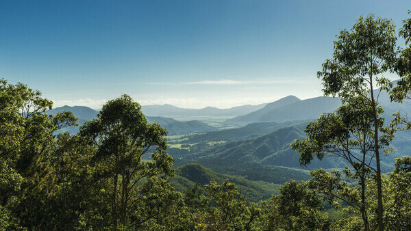 Tour in Cairns: Two-Day Exotic Northern Tropics Experience