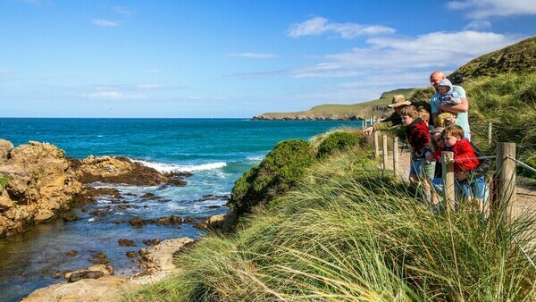 Dunedin, scenic highlights and wildlife tour