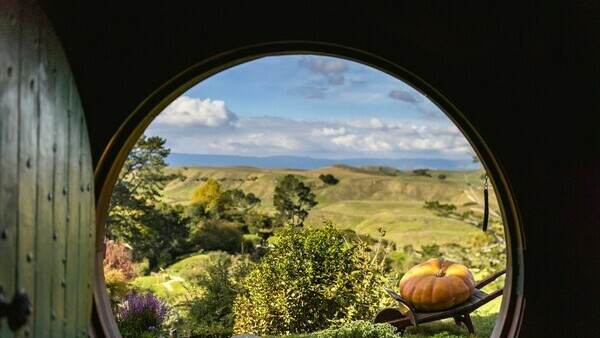 Hobbiton & Rotorua incl Te Puia Small Group Tour from Auckland (Return Trip)