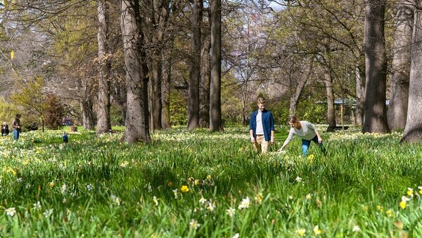 The garden's tour in Christchurch