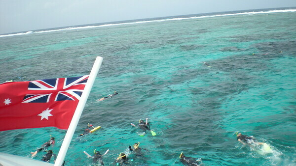 Tour in Cairns: The Great Barrier Reef cruise