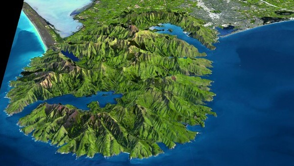 A day tour to Akaroa