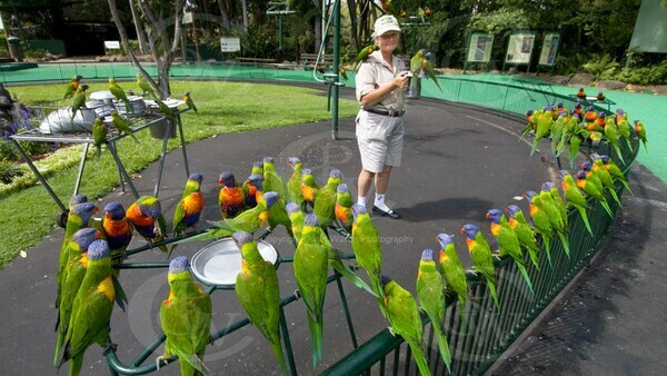 Currumbin Wildlife Sanctuary from $140.00 per person