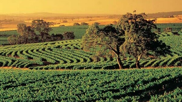 Barossa Valley - from $130.00 per person