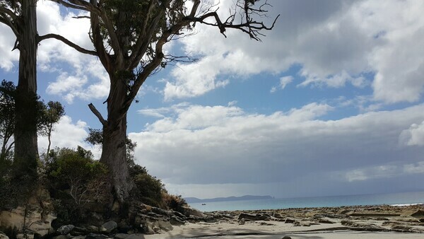 Bruny Island Traveller - from 135.00 per person