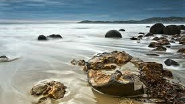 The Moeraki Boulders and wildlife tour