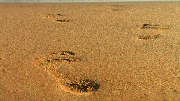 Golden sand beaches around Sydney