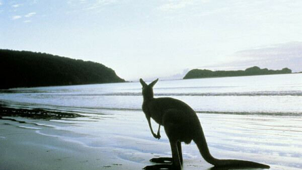 Kangaroo Island - from $268.00 per person