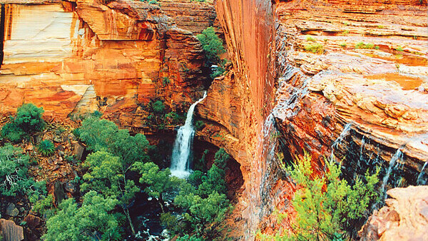 Full day Kings Canyon tour. From $219.00 per person