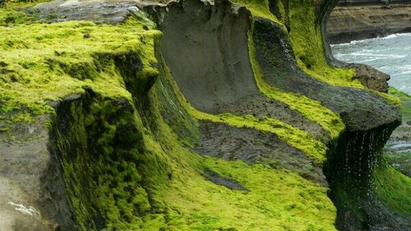 Tranz Alpine Train - Arthur's Pass - LOTR Combo Day Tour