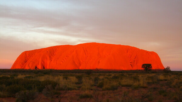 Sunrise or Sunset tour from Ayers Rock. From 69.00 per peron