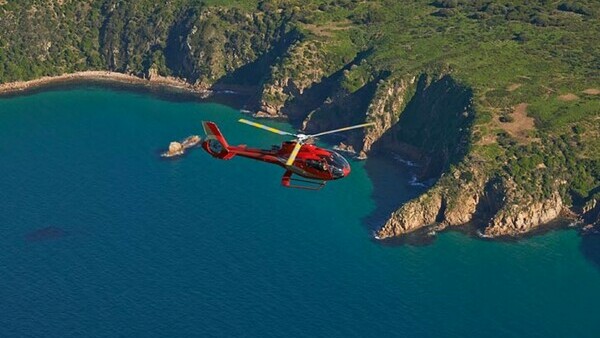 Melbourne Helicopter Tour to Phillip Island for the Penguin Parade